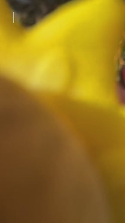 Anillo Girasol Giratorio + Caja de Regalo